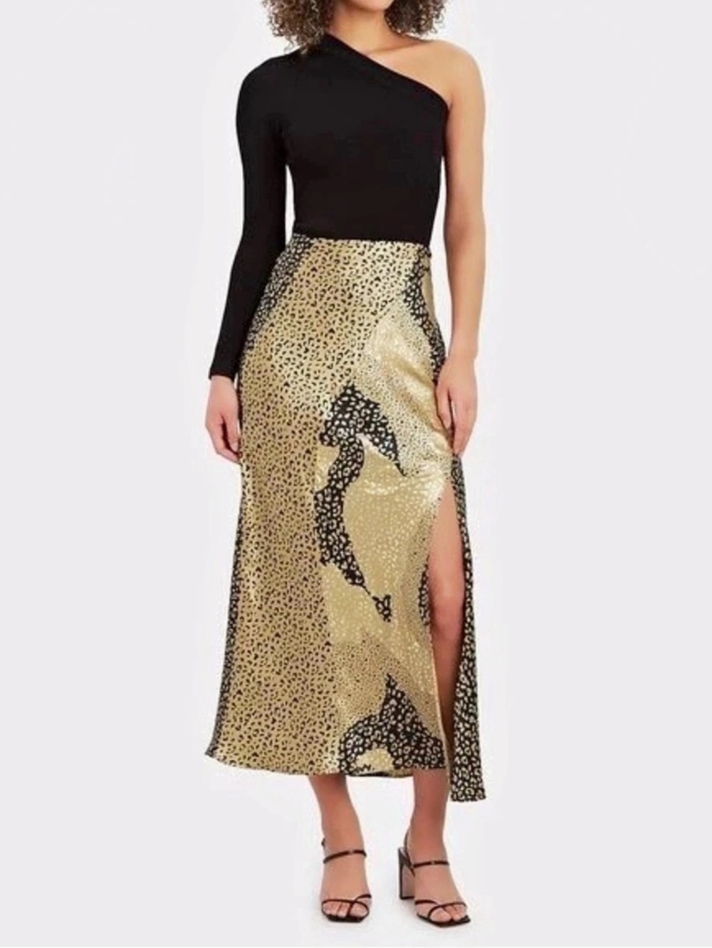 RIXO Parker 100% Silk Animal Print Maxi Skirt
